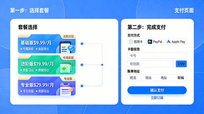 海外平台订阅与支付流程指南图示，展示套餐选择和支付页面